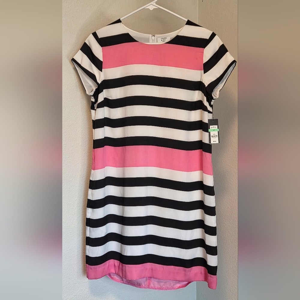 Crown & Ivy Stylish Pink,White and Black Striped Dress